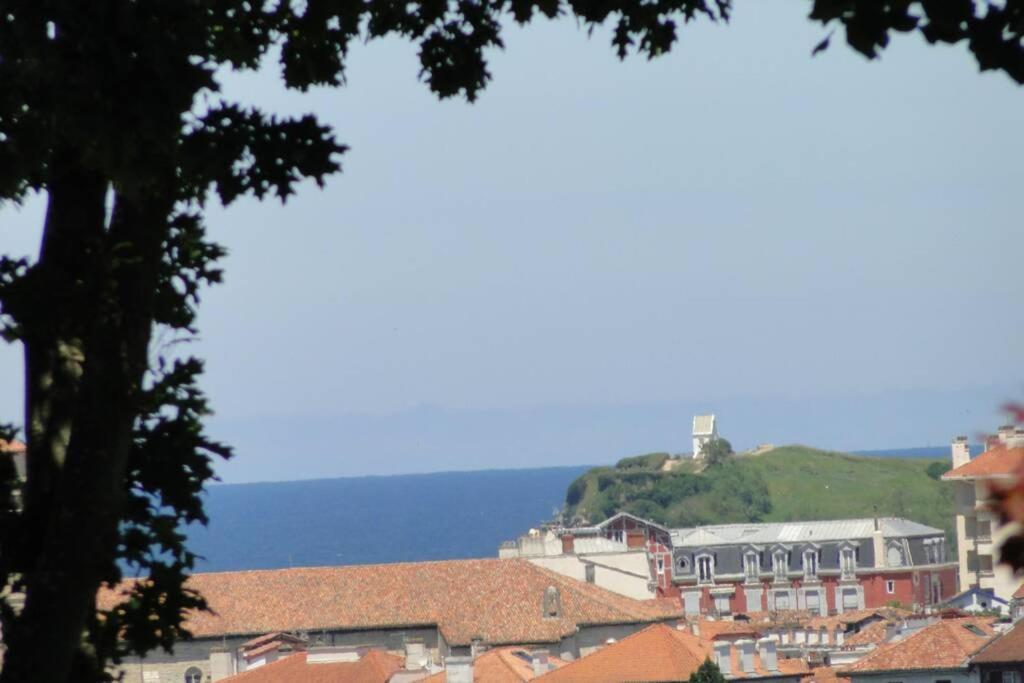Ciboure:T2, Proximite Golf Et Plages, Vue Sur Mer Exterior photo